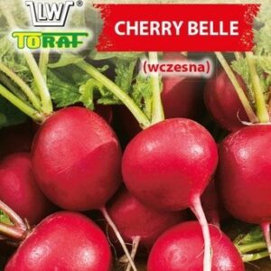 Rzodkiewka Cherry Belle wczesna wegetacja 25-30 dni Wiosna/Jesień