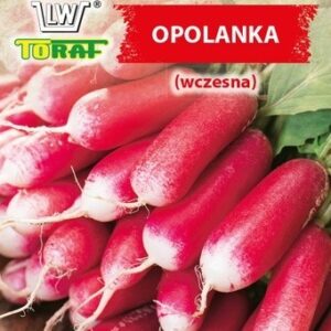 Rzodkiewka Opolanka