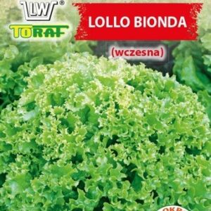 Sałata liściowa Lollo Bionda