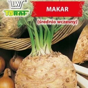 Seler korzeniowy Makar średnio wczesny