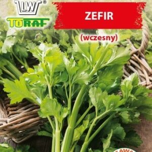 Seler naciowy Zefir