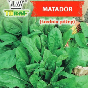 Szpinak Matador średnio późny zimuje w gruncie