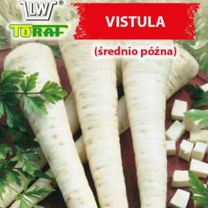 Pietruszka korzeniowa VISTULA średnio późna siew wiosna/jesień - nasiona