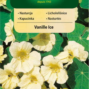 Nasturcja VANILLE ICE