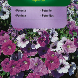 PETUNIA ZWISAJĄCA mieszanka