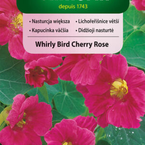 Nasturcja Whirly Bird Cherry Rose różowa