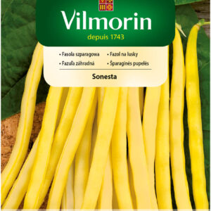 Fasola szparagowa SONESTA karłowa