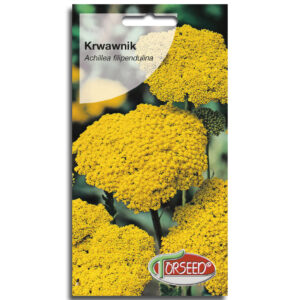 KRWAWNIK żółty bylina