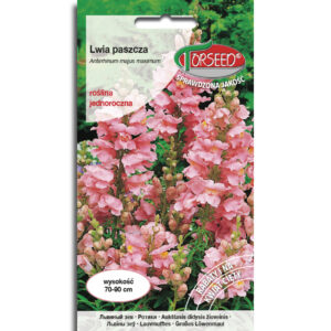 LWIA PASZCZA różowa wysoka