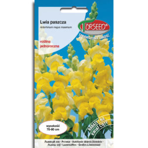 LWIA PASZCZA żółta wysoka