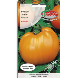 Pomidor JANTAR wysoki, wczesny, żółtopomarańczowy