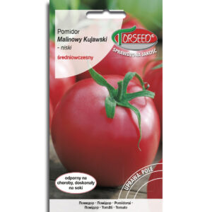Pomidor MALINOWY KUJAWSKI
