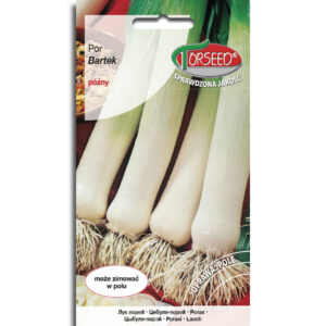 POR BARTEK późny, zimujący w gruncie