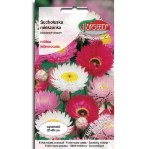 SUCHOŁUSKA mieszanka na suche bukiety