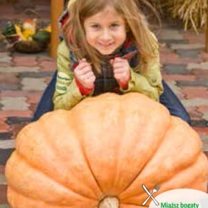 Dynia ATLANTIC GIANT olbrzymia