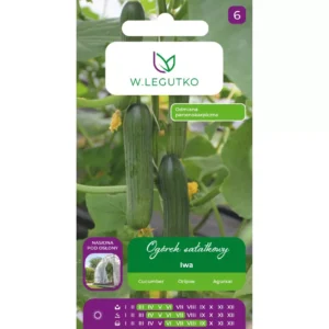 Ogórek IWA sałatkowy