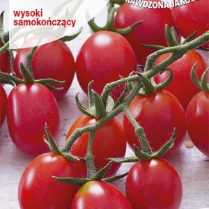 Pomidor MALINOWY KAPTUREK, koktajlowy, typ cherry, samokończący