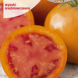 Pomidor ZLATAVA wysoki pomarańczowy