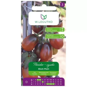Pomidor BLACK PLUM koktajlowy brązowy owalny
