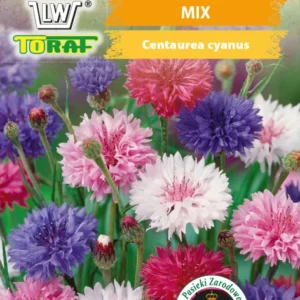 Chaber bławatek mix, kwiaty jadalne, dodatek do sałatek