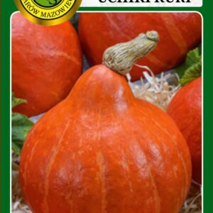 Dynia Hokkaido Uchiki Kuri owoce ok. 1,5kg