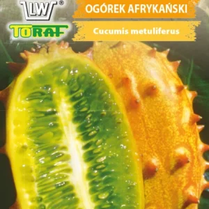 Kiwano OGÓREK AFRYKAŃSKI zapach banana smak kiwi