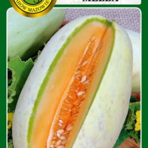 Melon MELBA do uprawy w polu i pod osłonami, wczesny