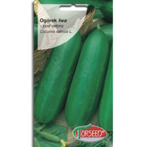 Ogórek IWA sałatkowy