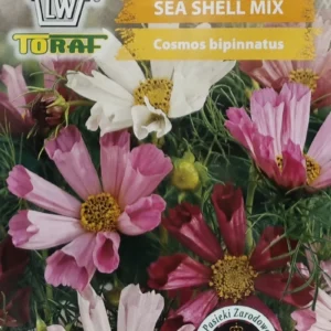 Onetek muszelkowy SEA SHEL MIX Kosmos Warszawianki