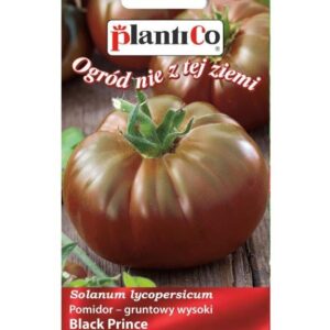 Pomidor BLACK PRINCE
