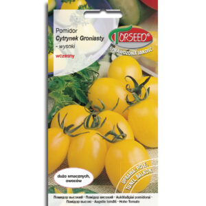 Pomidor Cytrynek Groniasty koktajlowy żółty