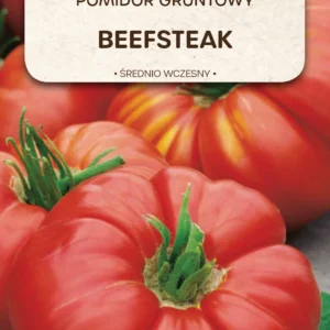 Pomidor BEEFSTEAK gruntowy