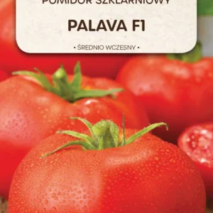Pomidor PALAVA szklarniowy