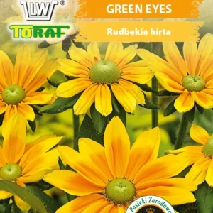 Rudbekia GREEN EYES bylina kwiaty żółte z zielonym środkiem