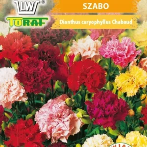 Goździk ogrodowy SZABO mieszanka pełne kwiaty