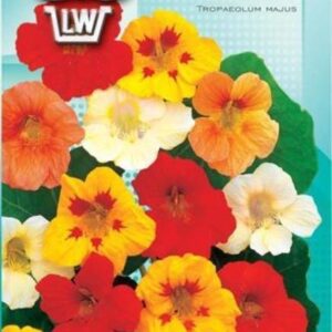 Nasturcja większa mieszanka, jadalne kwiaty