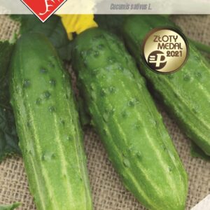 Ogórek STARTER F1 konserwowy