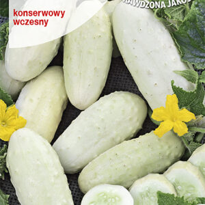 Ogórek Biały WHITE WONDER
