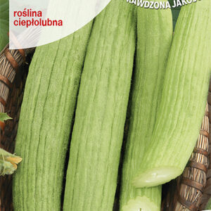 Ogórek Melonowy Carosello Barese do sałatek