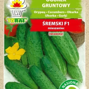 Ogórek gruntowy ŚREMSKI odporny na choroby na taśmie 7m taśma