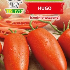 Pomidor HUGO gruntowy podłużny do grillowania