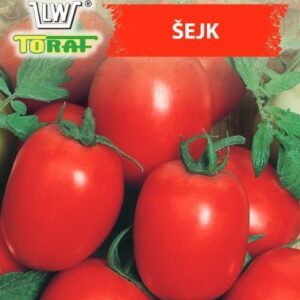 Pomidor Sejk gruntowy karłowy Szejk