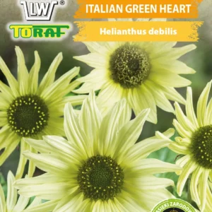 Słonecznik ogórkolistny Italian Green Heart