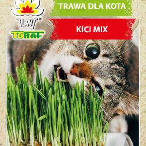 TRAWA DLA KOTA kici mix