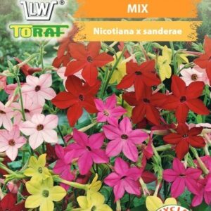 Tytoń ozdobny mix, mieszanka