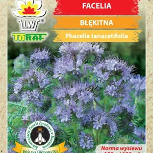 Facelia błękitna STALA miododajna, poplon na zielony nawóz