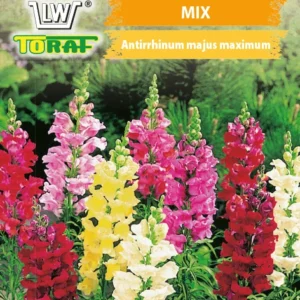 Lwia Paszcza wysoka mieszanka