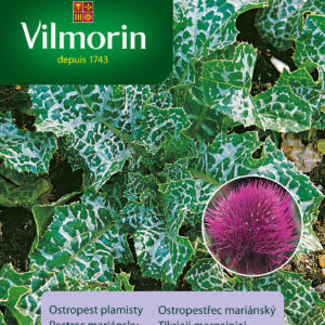 OSTROPEST PLAMISTY ziołowy lek na wątrobę