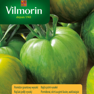 Pomidor gruntowy wysoki Green Zebra zielony w prążki
