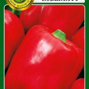 Papryka ROBERTA bardzo wczesna, bardzo plenna, do gruntu